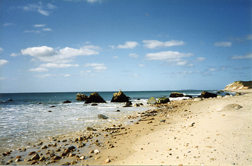 The beach near Devil's Bridge on the island of Martha's Vineyard.